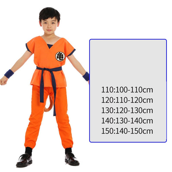 Dragon Ball Z Goku Kids Costume
